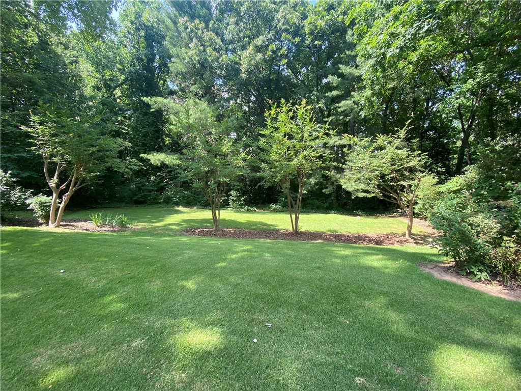 252 Riggs Drive Clemson, SC 29631 - Photo 42 of 45 Spring