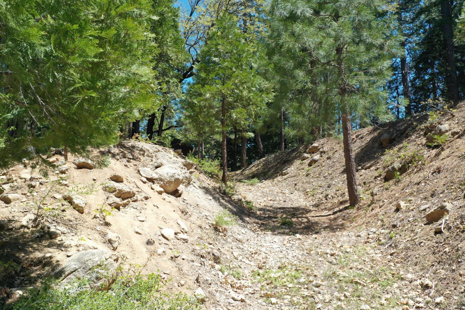 3112 Apache Road Arnold, CA 95223 - Photo 8 of 25 a view of a yard with wooden fence and trees