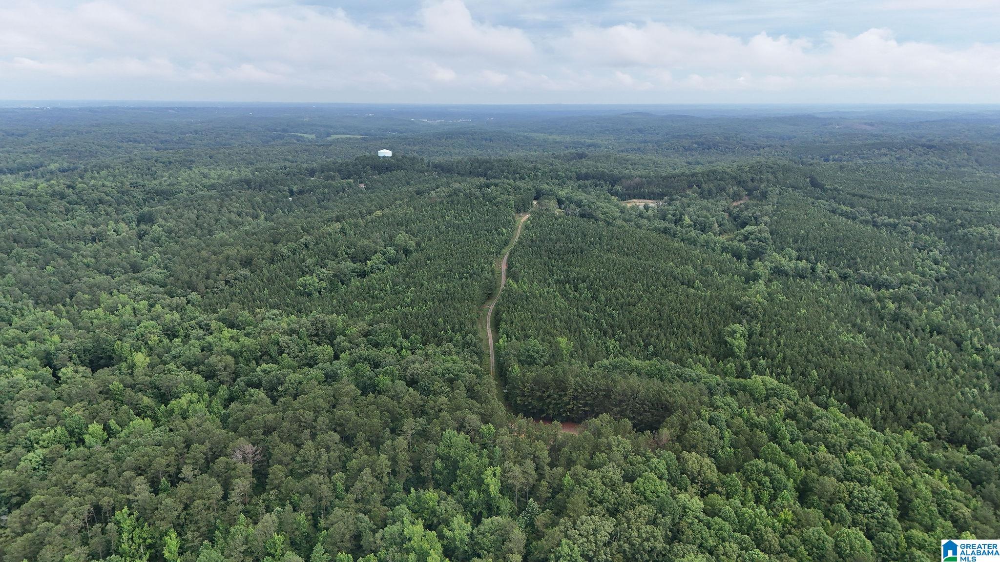 0 Skyview Lake Road Cottondale, AL 35453 - Photo 10 of 22