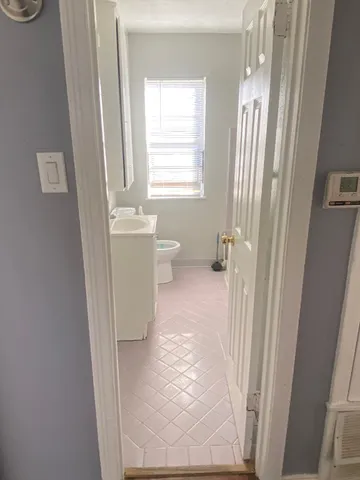 a bathroom with a sink and a toilet