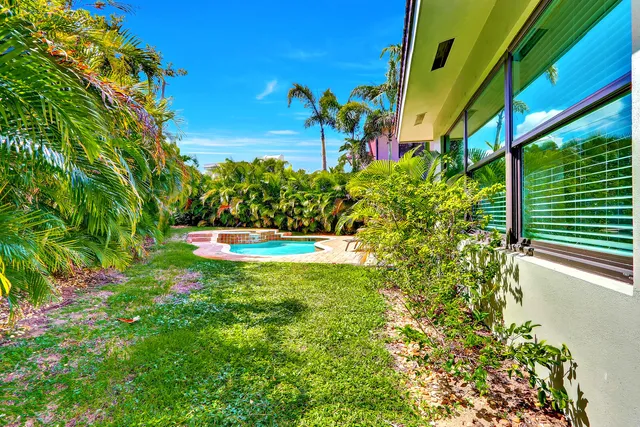 a view of a garden with plants