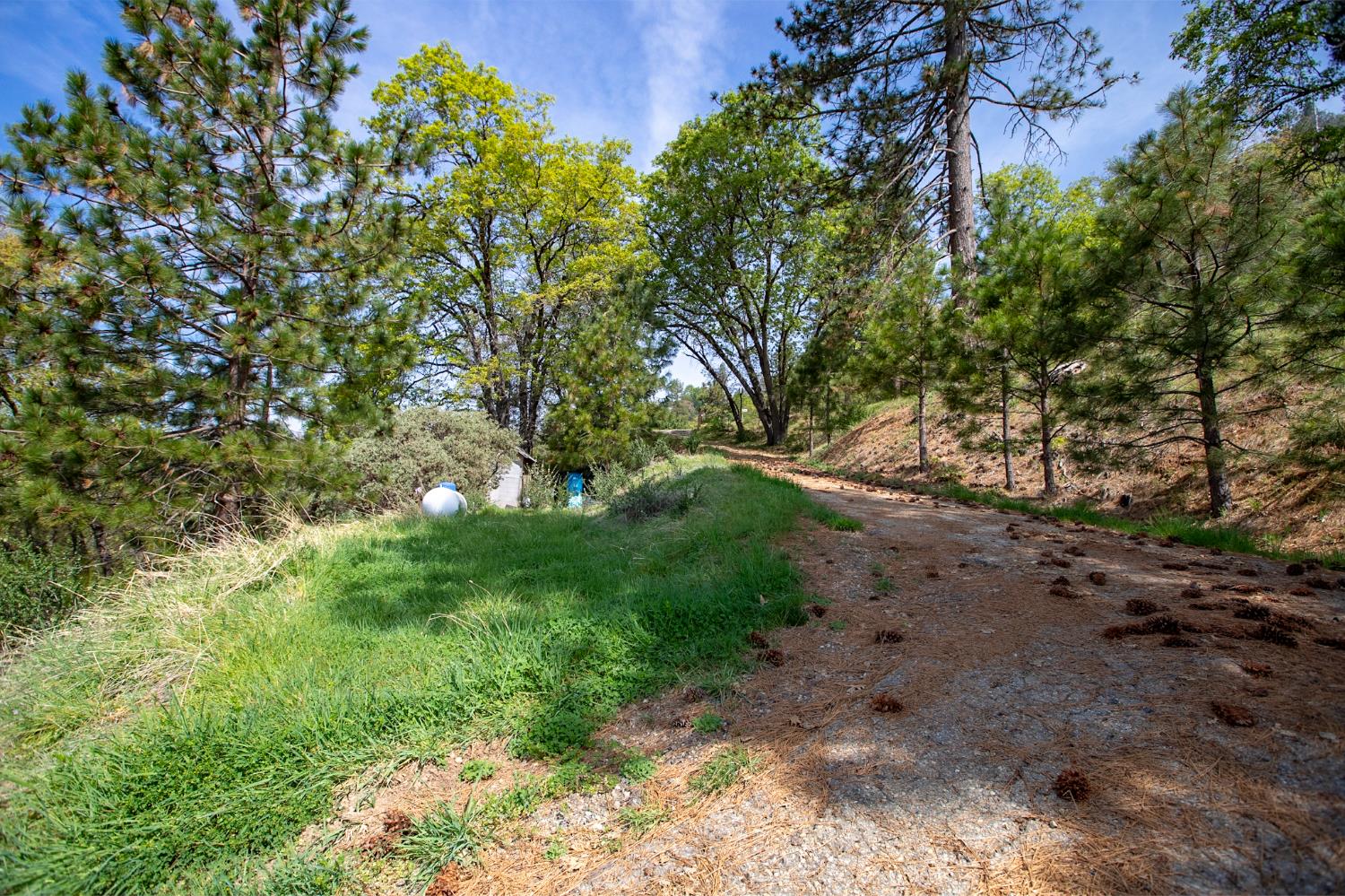 52865 Highway 245 Miramonte, CA 93641 - Photo 30 of 50 a backyard of a house with lots of green space