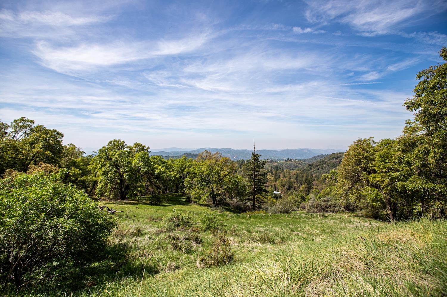52865 Highway 245 Miramonte, CA 93641 - Photo 38 of 50 a view of a garden