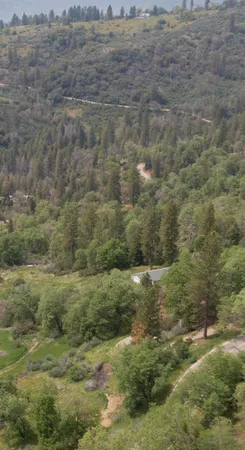 $495,000 | 52865 Highway 245, Miramonte, CA 93641