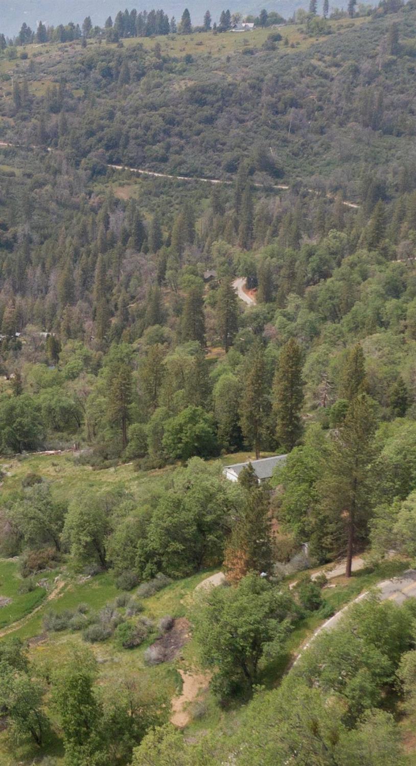 52865 Highway 245 Miramonte, CA 93641 - Photo 41 of 50 a view of a dry yard