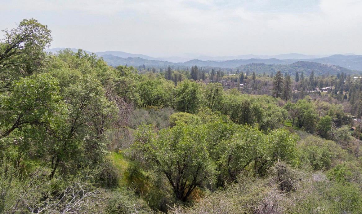 52865 Highway 245 Miramonte, CA 93641 - Photo 44 of 50 an aerial view of mountain and trees