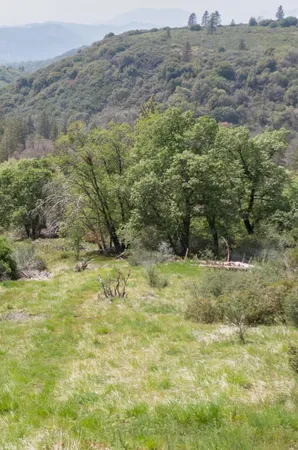 $495,000 | 52865 Highway 245, Miramonte, CA 93641