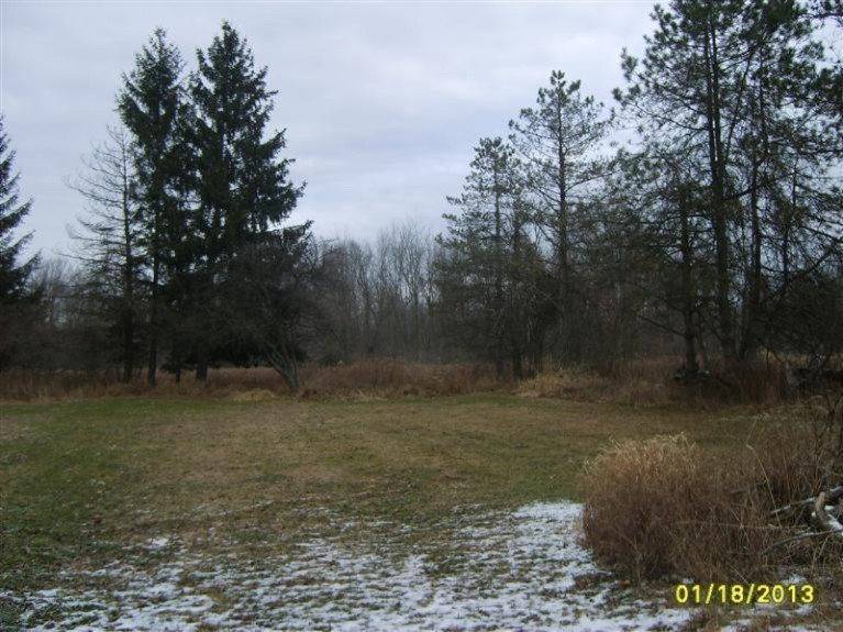 444 Grass Lake Road Coldwater, MI 49036 - Photo 4 of 24 Additional Photo