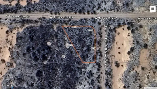 a view of a dry yard