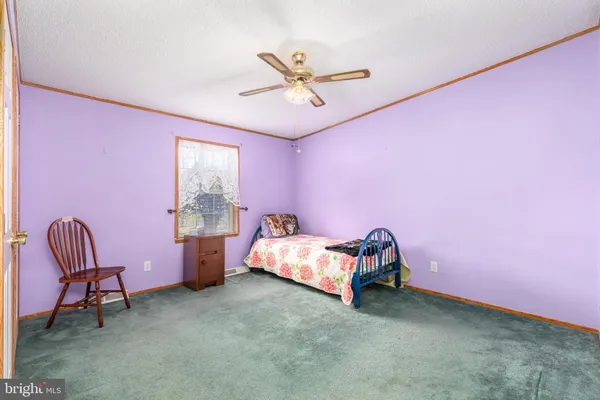 a room with furniture and windows