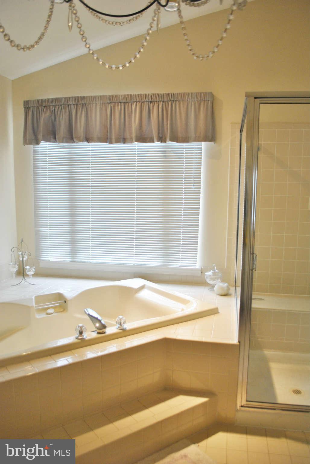 7520 Stream Crossing Road Baltimore, MD 21209 - Photo 20 of 30 Bath (Master)