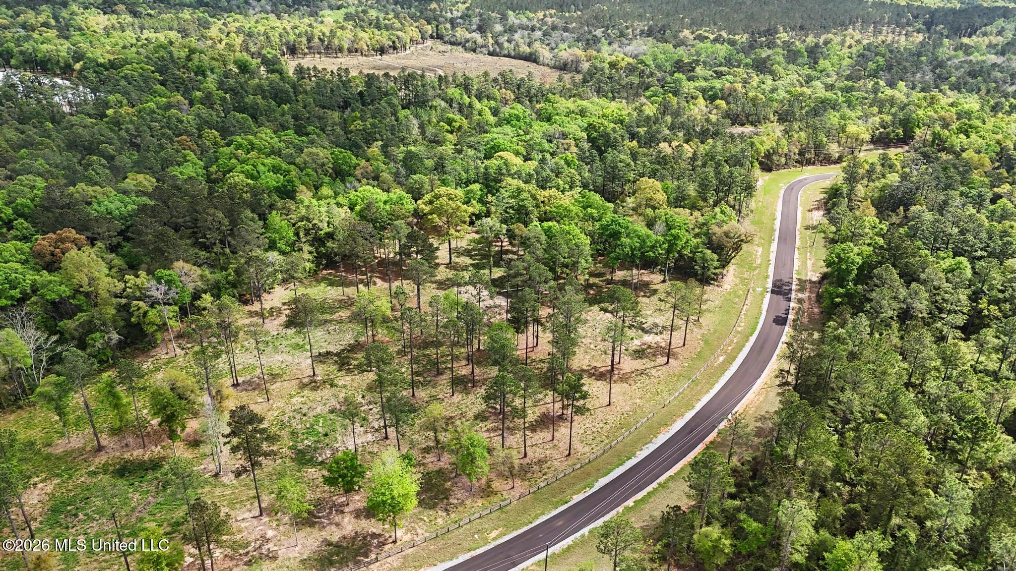 Lot 13 Pine Ridge Lane Lucedale, MS 39452 - Photo 10 of 16 010