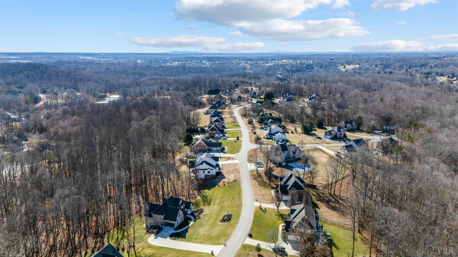 1343 Smartview Lane Forest, VA 24551 - Photo 79 of 80