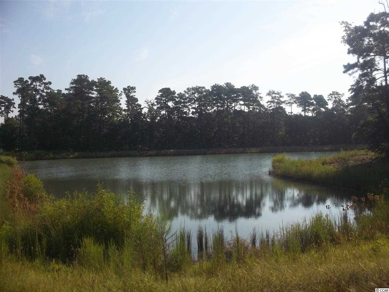 Lot 68 Chamberlin Road Myrtle Beach, SC 29588 - Photo 1 of 9 Gallery Image 1
