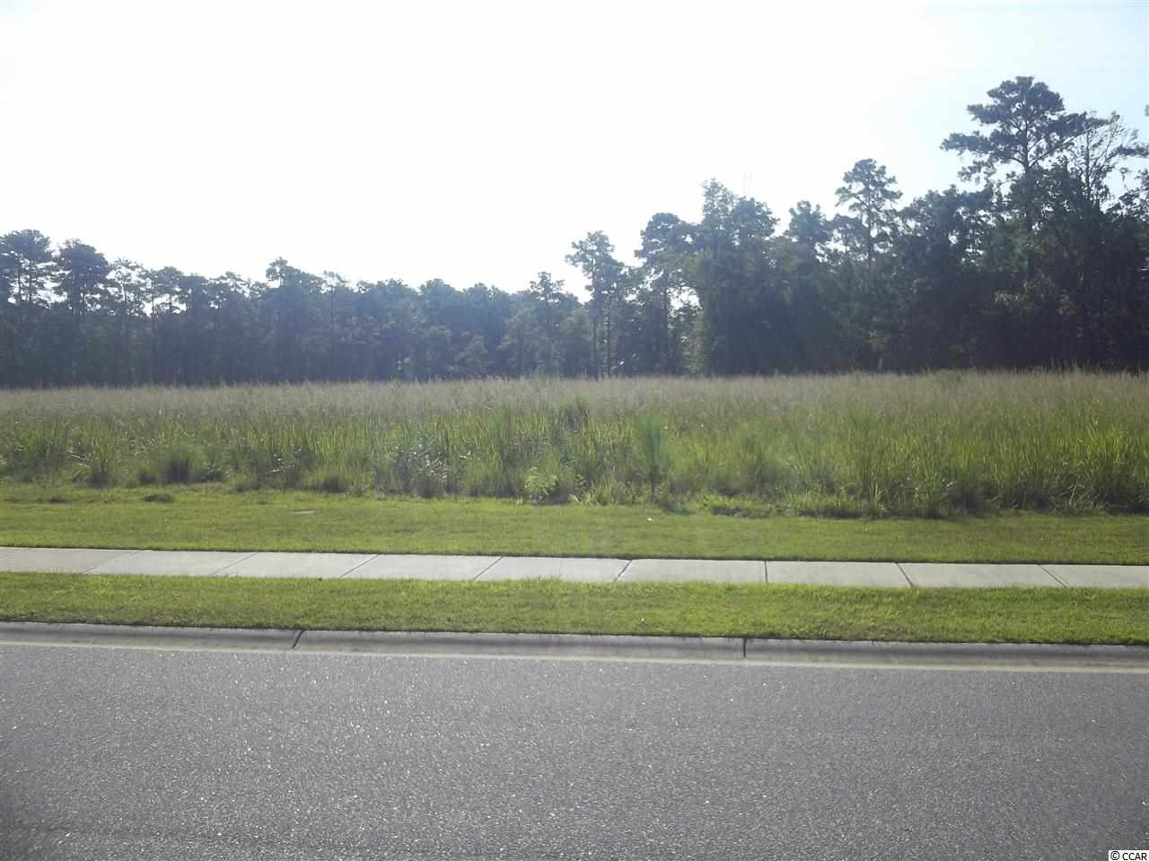 Lot 68 Chamberlin Road Myrtle Beach, SC 29588 - Photo 2 of 9 Gallery Image 2