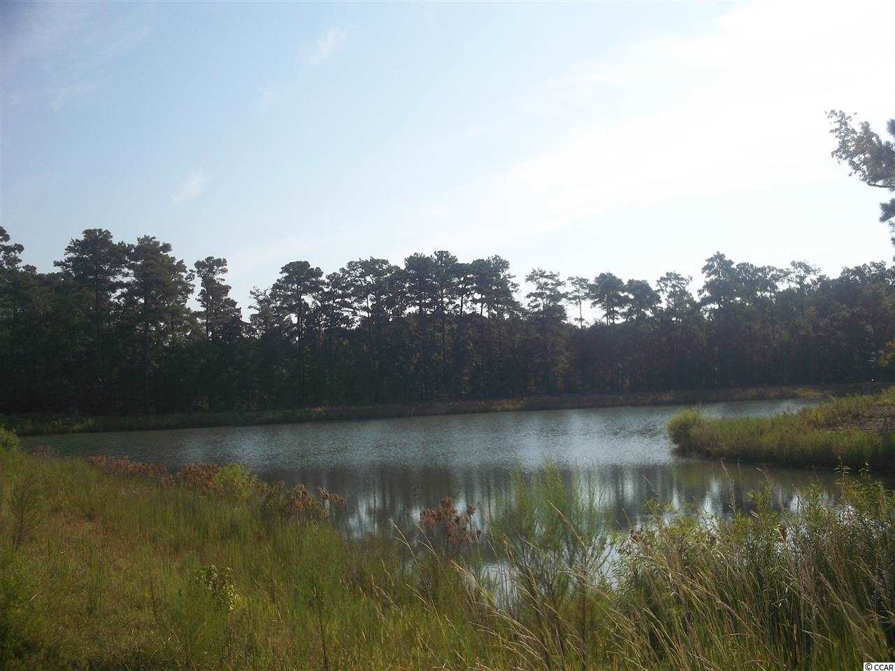Lot 68 Chamberlin Road Myrtle Beach, SC 29588 - Photo 4 of 9 Gallery Image 4