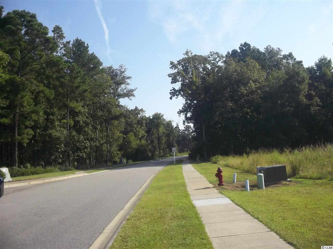 Lot 68 Chamberlin Road Myrtle Beach, SC 29588 - Photo 5 of 9 Gallery Image 5