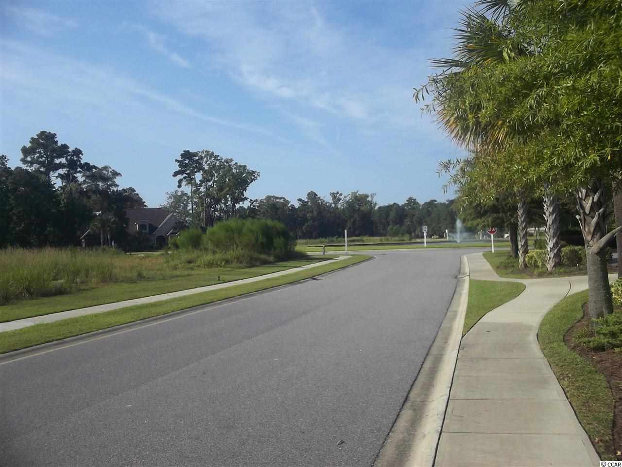 Lot 68 Chamberlin Road Myrtle Beach, SC 29588 - Photo 6 of 9 Gallery Image 6