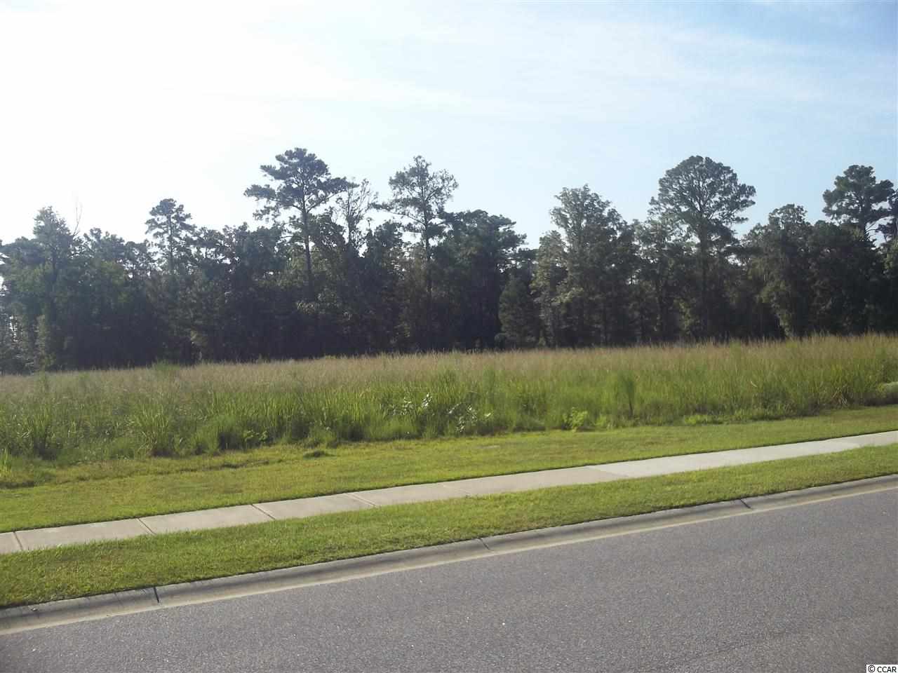 Lot 68 Chamberlin Road Myrtle Beach, SC 29588 - Photo 7 of 9 Gallery Image 7