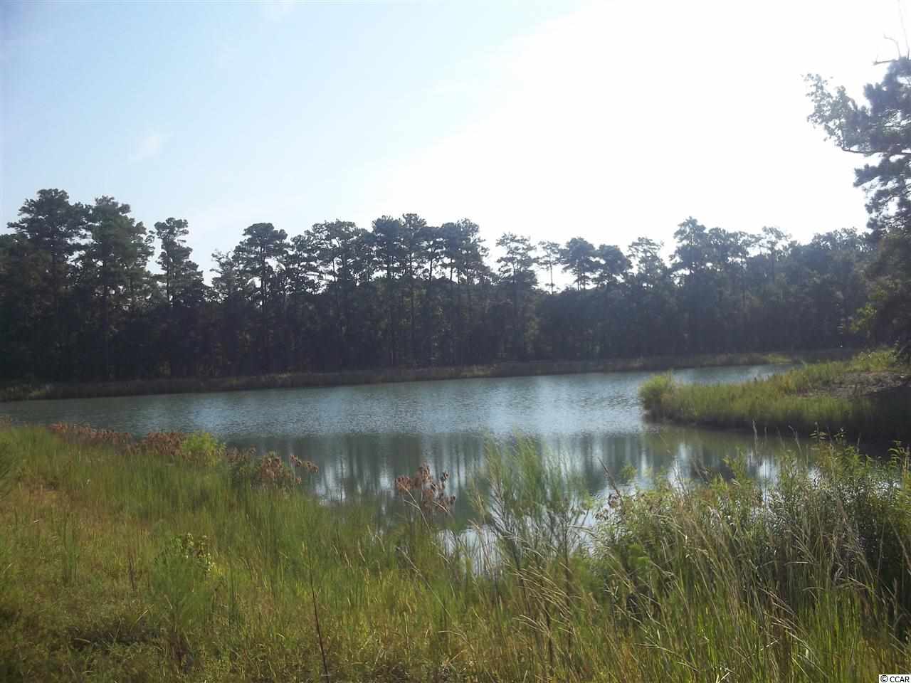 Lot 68 Chamberlin Road Myrtle Beach, SC 29588 - Photo 8 of 9 Gallery Image 8