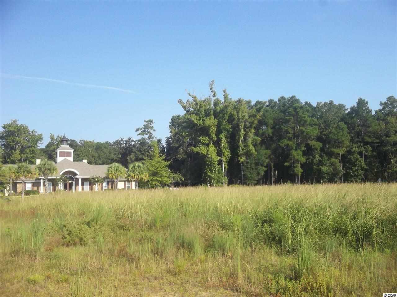 Lot 68 Chamberlin Road Myrtle Beach, SC 29588 - Photo 9 of 9 Gallery Image 9