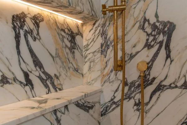 a plant that is in front of a house