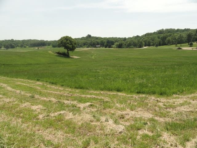 Multiple Lots County Road Y Viroqua, WI 54665 - Photo 42 of 76
