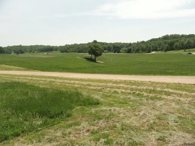 $64,500 | Multiple Lots County Road Y, Viroqua, WI 54665