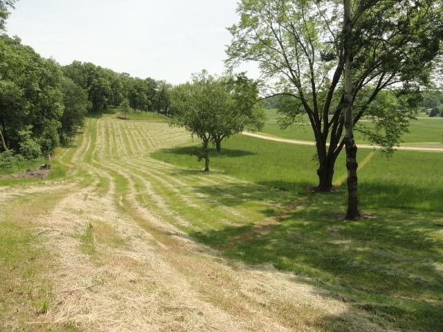 Multiple Lots County Road Y Viroqua, WI 54665 - Photo 47 of 76