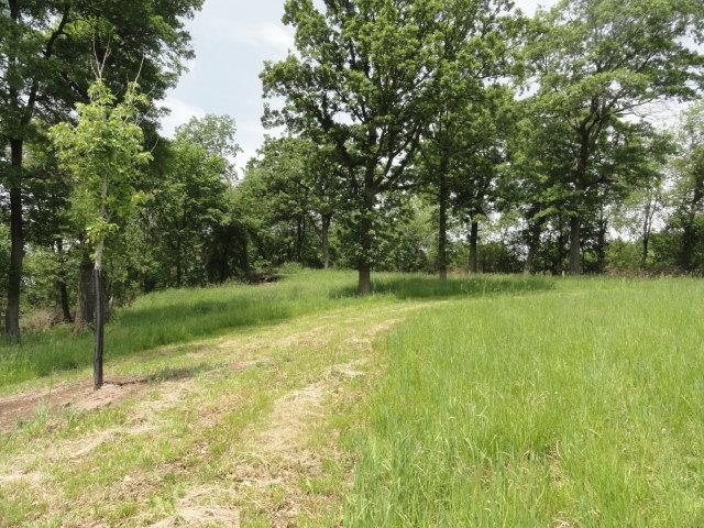 Multiple Lots County Road Y Viroqua, WI 54665 - Photo 57 of 76