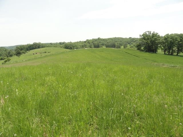 Multiple Lots County Road Y Viroqua, WI 54665 - Photo 58 of 76