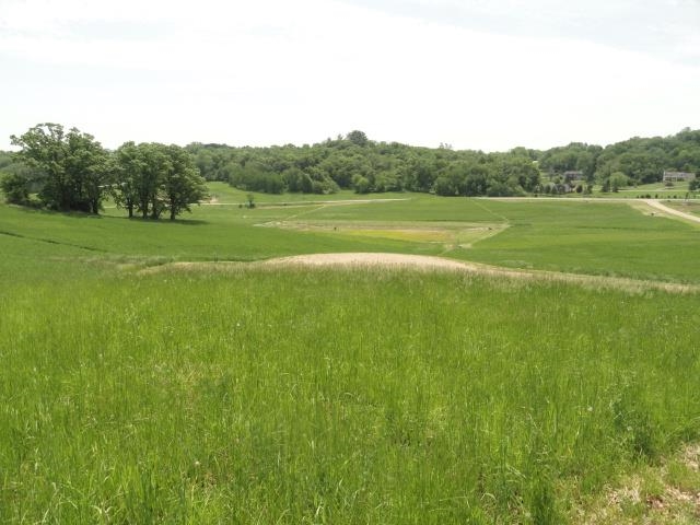 Multiple Lots County Road Y Viroqua, WI 54665 - Photo 59 of 76