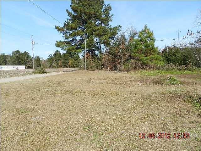217 Dantzler Pond Road Harleyville, SC 29448 - Photo 2 of 4 Additional Photo