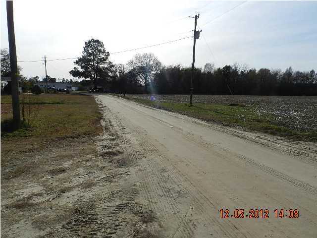 217 Dantzler Pond Road Harleyville, SC 29448 - Photo 3 of 4 Additional Photo