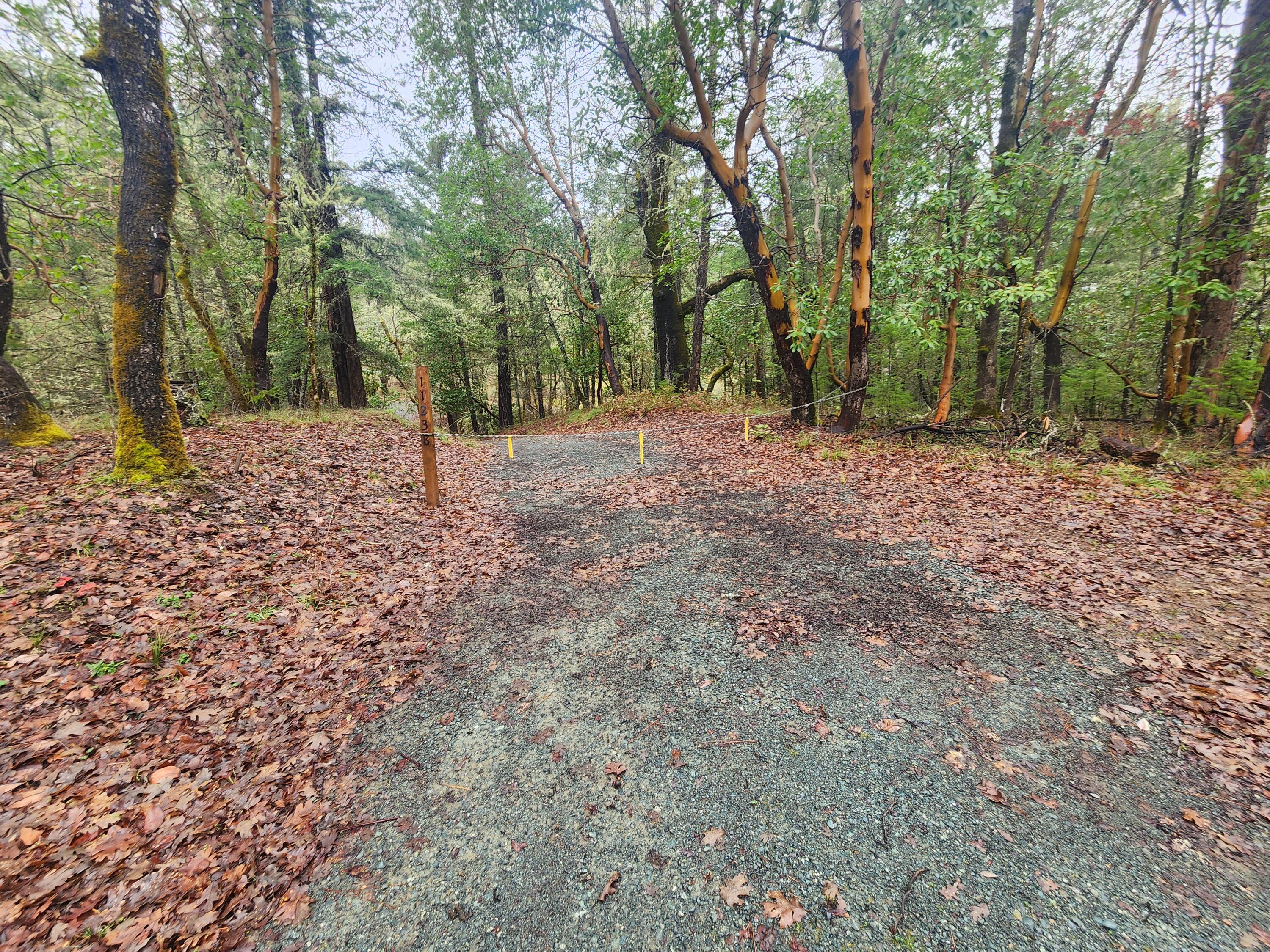 11238 East Evans Creek Road Rogue River, OR 97537 - Photo 22 of 29 a view of outdoor space and yard