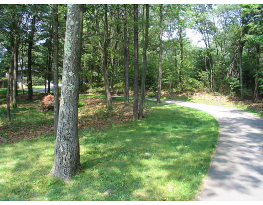39 Westbrook Lane Westwood, MA 02090 - Photo 2 of 7 a big yard with lots of green space and trees