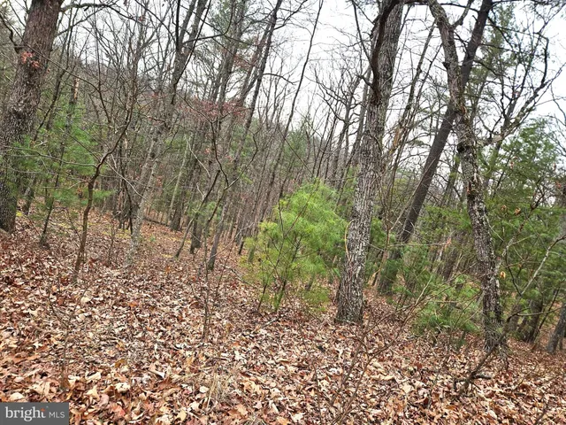 a view of wooden fence with trees