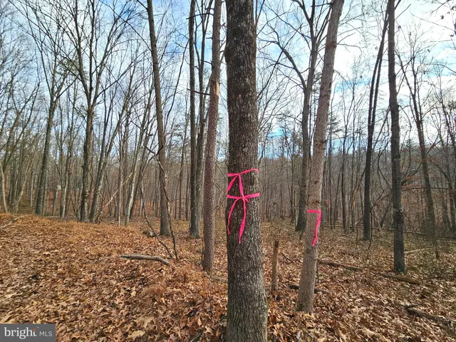 a flag is sitting in the middle of a yard