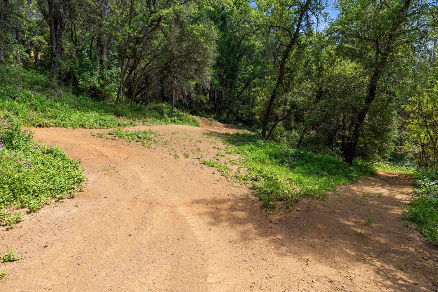 3560 Mining Brook Road Placerville, CA 95667 - Photo 66 of 80