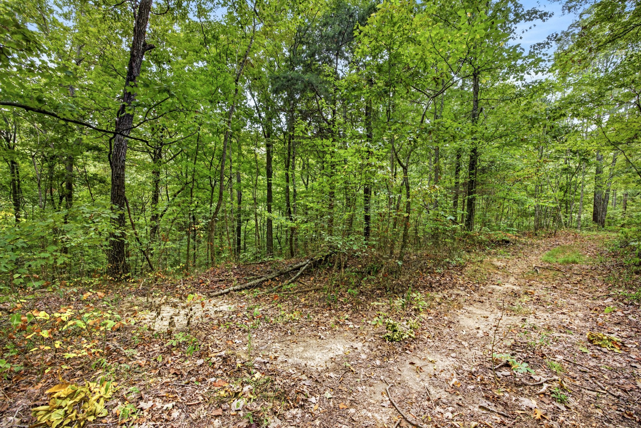0 Timber Ridge Lane Celina, TN 38551 - Photo 10 of 20 Gallery Image 10