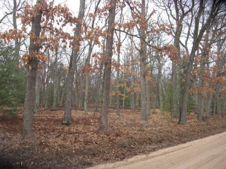 1 Mile Road Baldwin, MI 49304 - Photo 3 of 6 Additional Photo