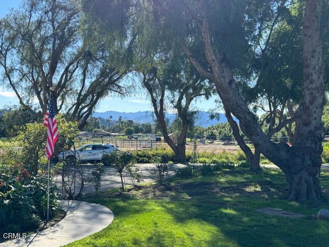 4061 Donlon Road Somis, CA 93066 - Photo 16 of 23 a backyard of a house with yard table and chairs