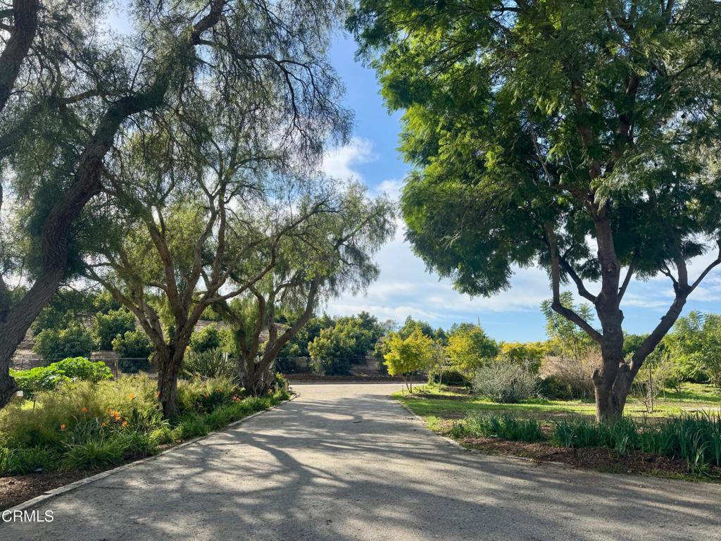 4061 Donlon Road Somis, CA 93066 - Photo 3 of 23 a view of a yard