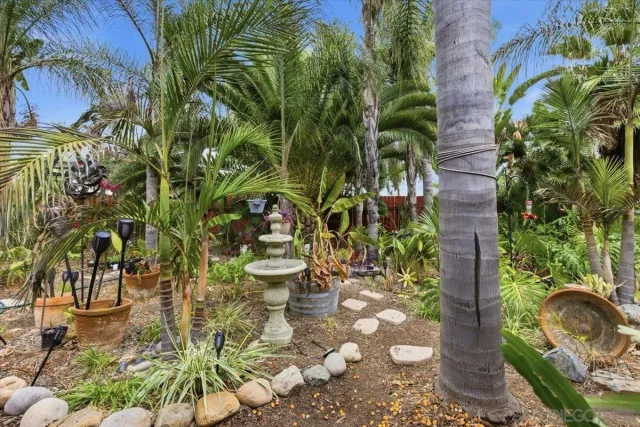 a view of a backyard with plants and garden