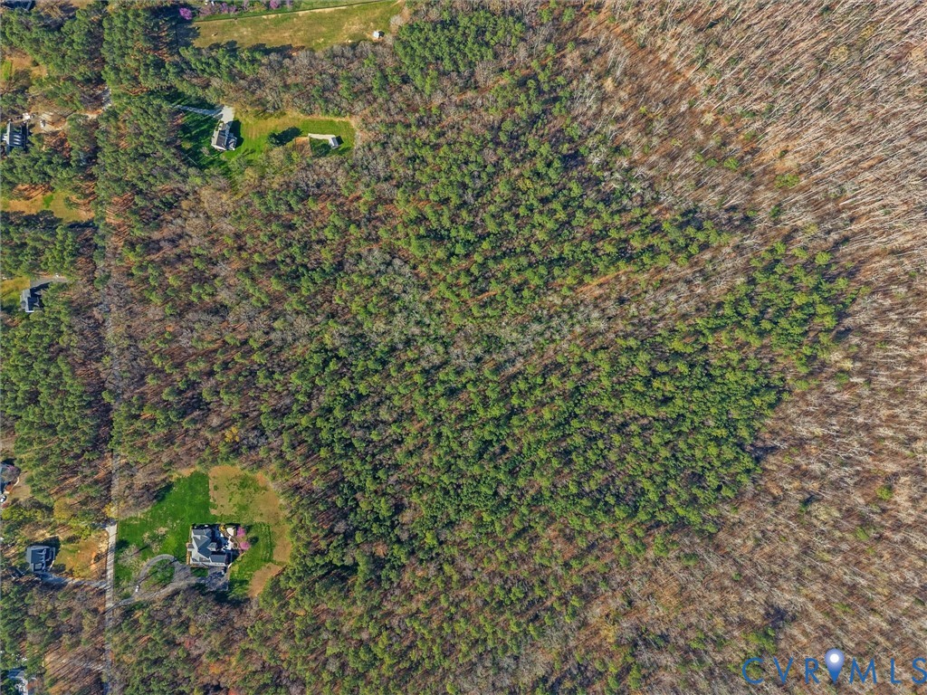 24240 Pear Orchard Road Moseley, VA 23120 - Photo 2 of 3 a view of a forest with a trees