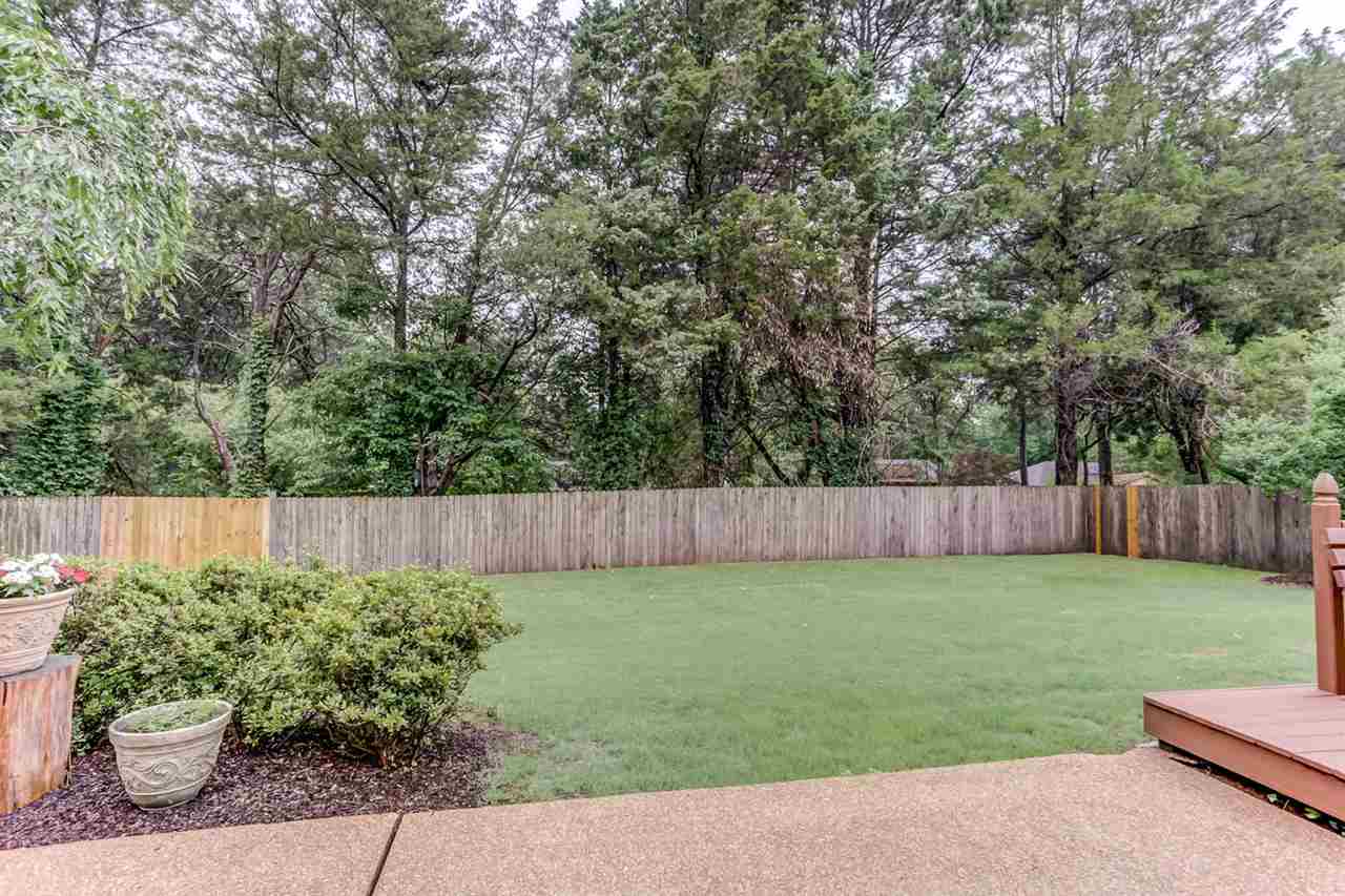 431 Revell Point West Collierville, TN 38017 - Photo 3 of 19