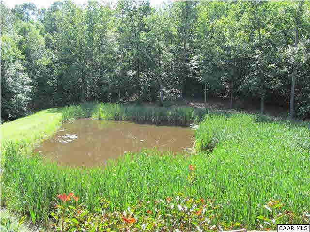 264 Creek Road Troy, VA 22974 - Photo 32 of 39 Stocked fishing pond.