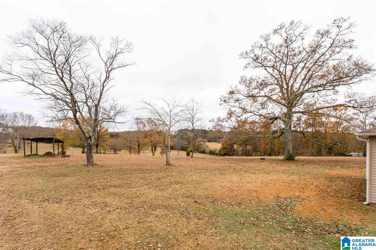 1531 Peaceful Valley Road Eastaboga, AL 36260 - Photo 34 of 40