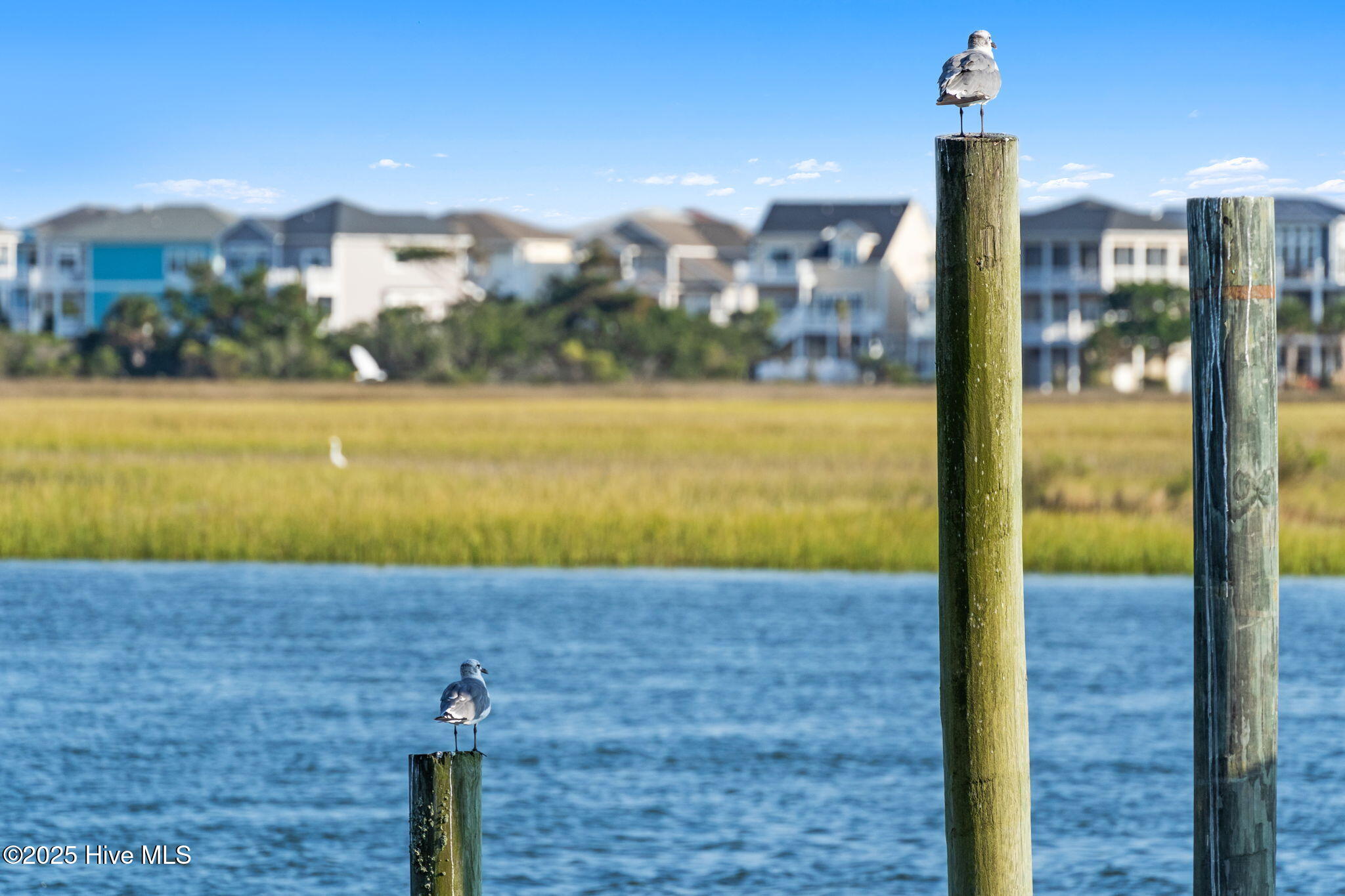 1686 Crane Road Southwest Ocean Isle Beach, NC 28469 - Photo 40 of 44 54-web-or-mls-CAMMediaLLC.com CR-50