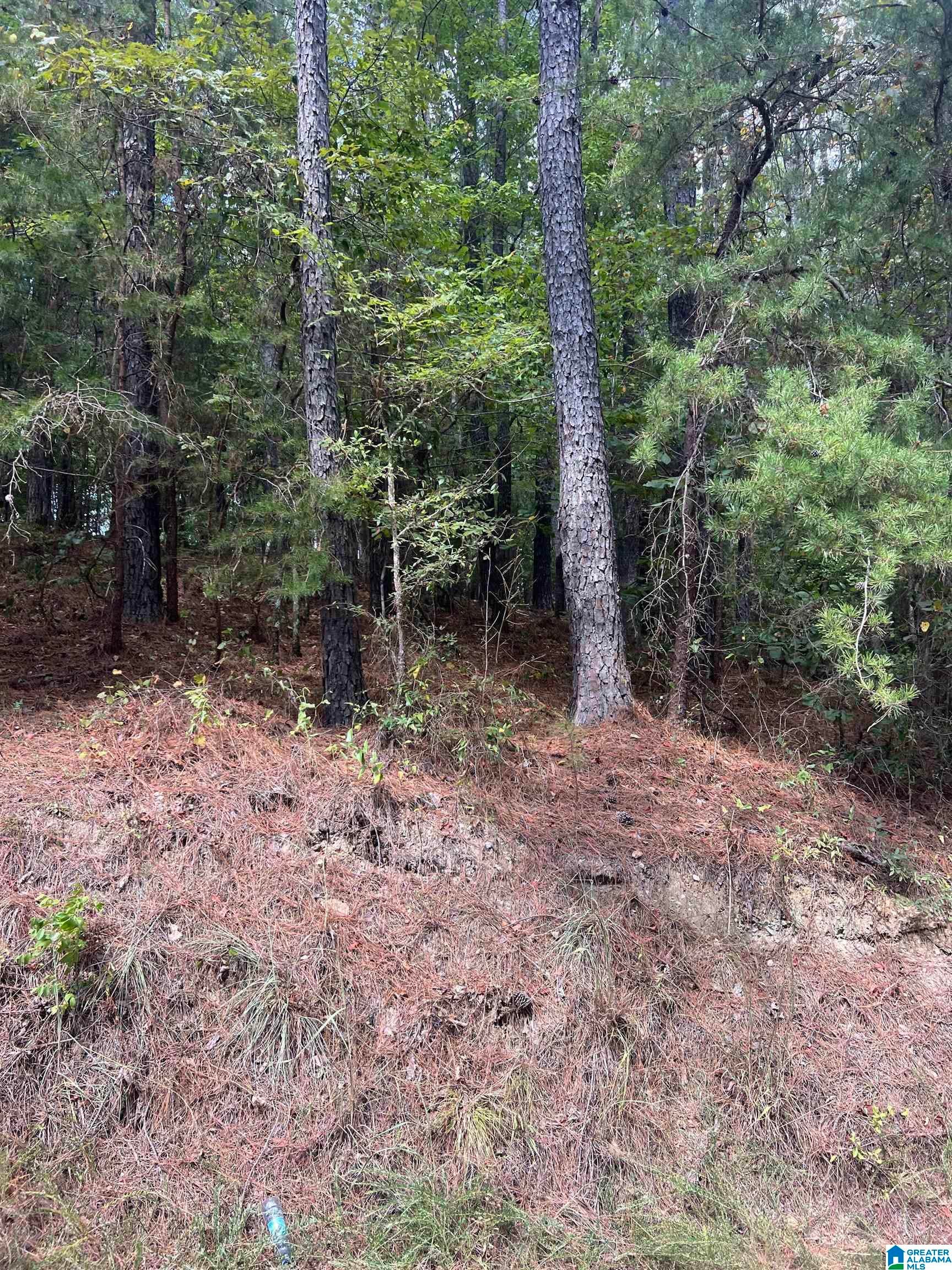 8 Co Road, Unit 1 Clanton, AL 35046 - Photo 2 of 5 Gallery Image 2